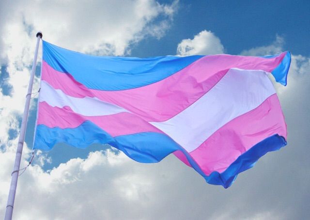 JSE considera un éxito la toma en consideración del Congreso de la reforma de la Ley de rectificación registral de las personas transexuales